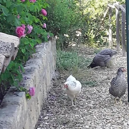 La De Garlone Frühstückspension Aujargues